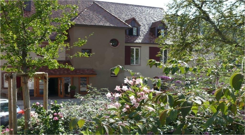 Landgrafen-Muehle Hotel Wallhalben Luaran gambar