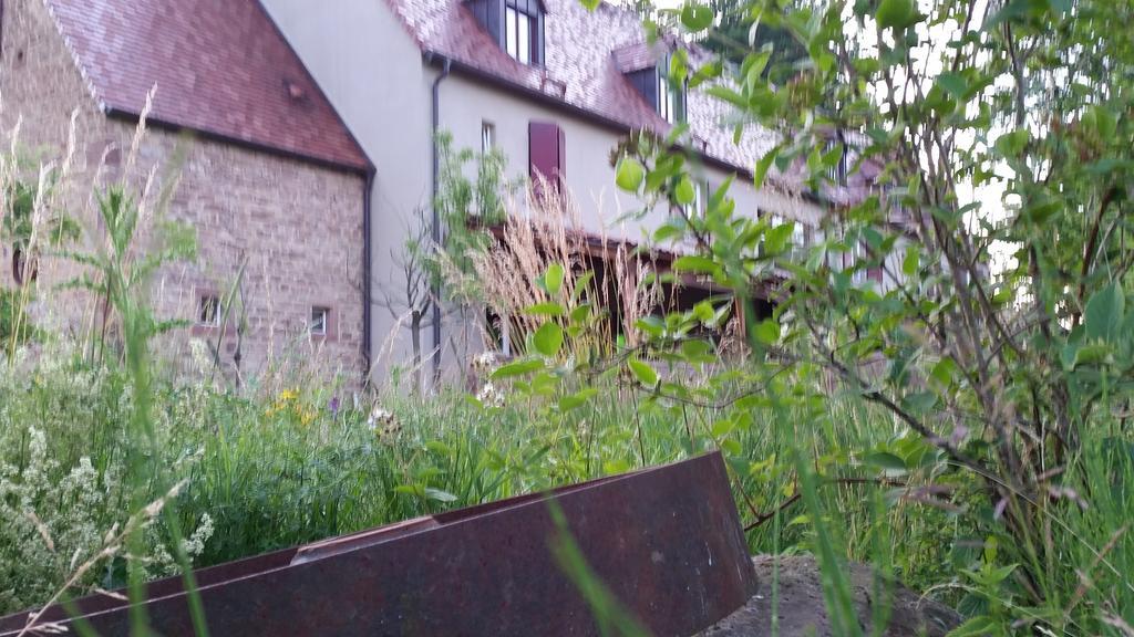 Landgrafen-Muehle Hotel Wallhalben Luaran gambar