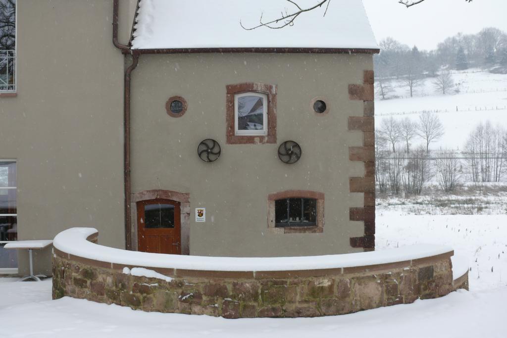 Landgrafen-Muehle Hotel Wallhalben Luaran gambar