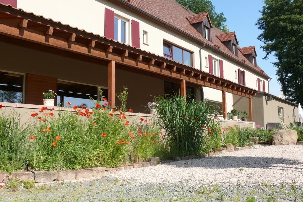 Landgrafen-Muehle Hotel Wallhalben Luaran gambar